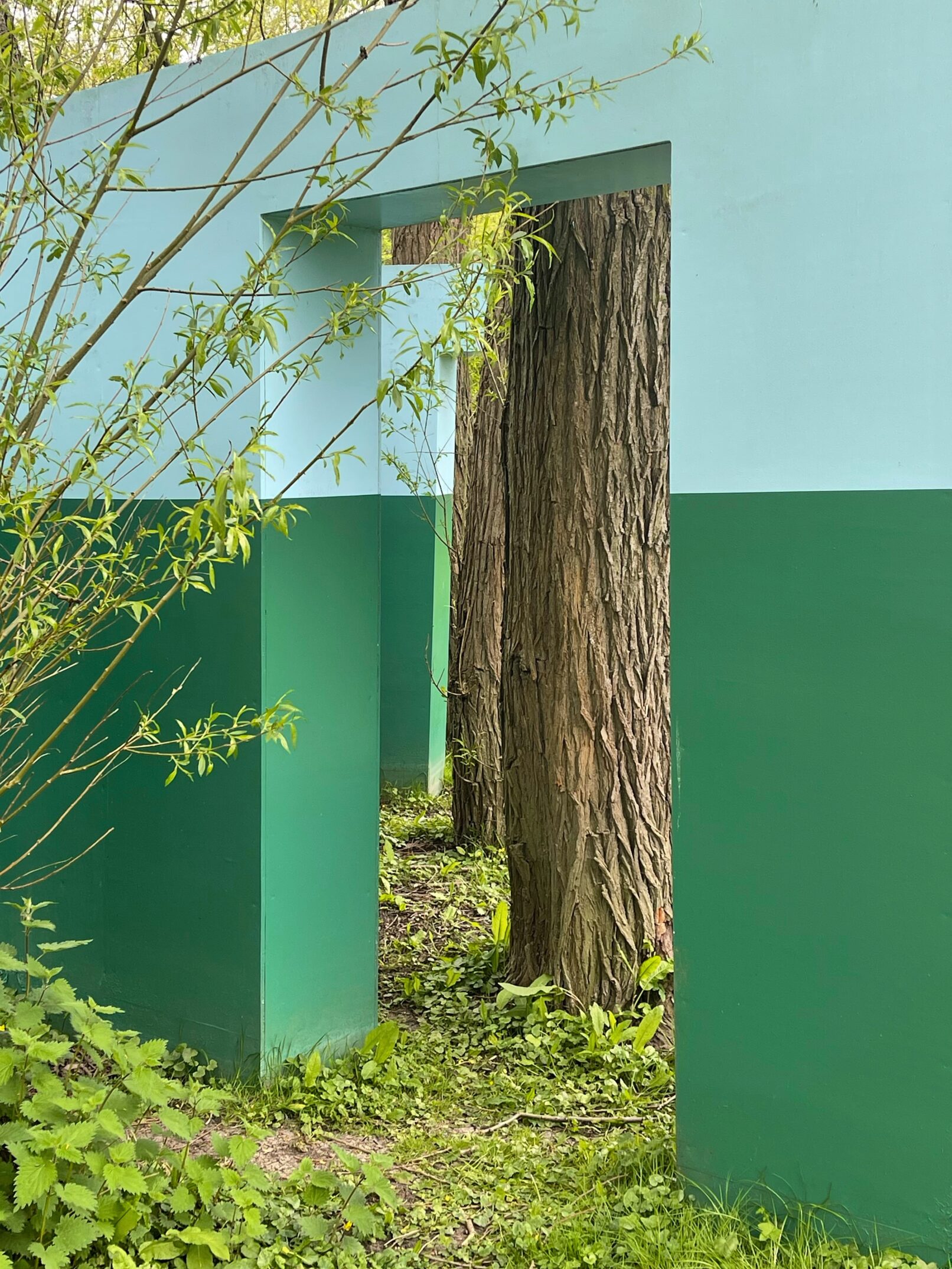 New geographies (4)